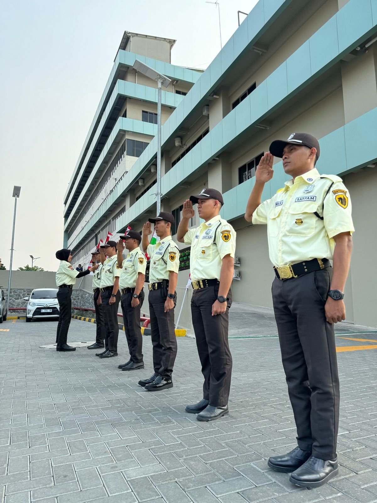 Tim Pengamanan Profesional